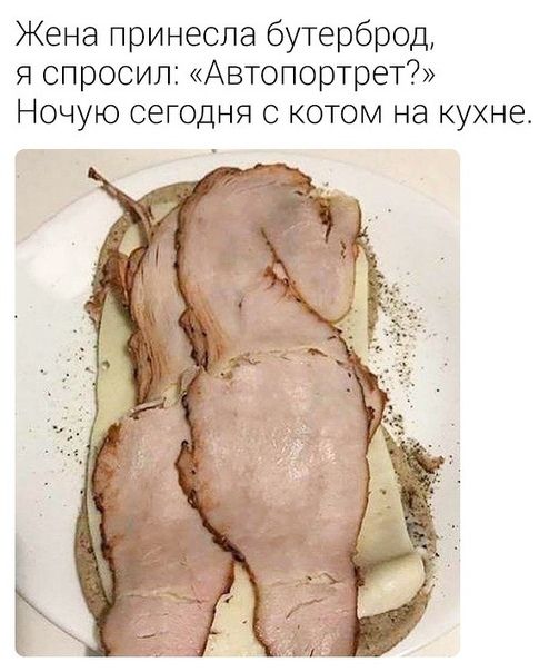 Жена принесла бутерброд я спросил Автопортрет Ночую сегодня с котом на кухне