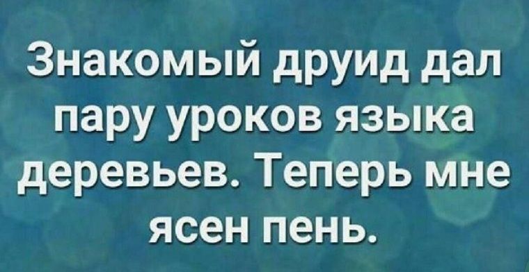 Знакомый друид дал пару уроков языка деревьев Теперь мне ясен пень