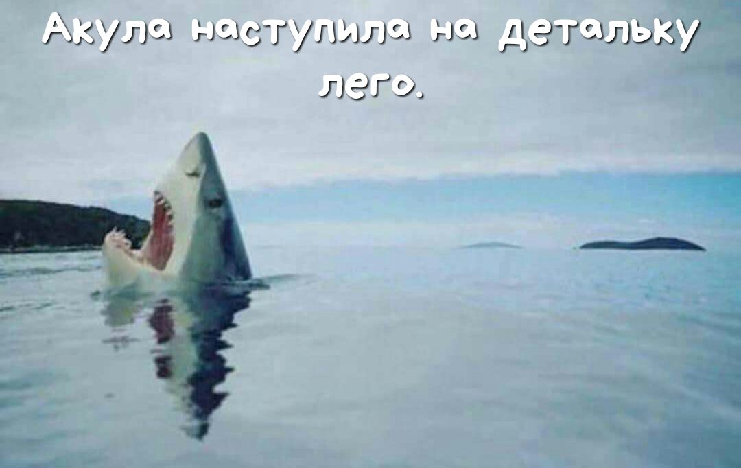 Акулы ыэздтупьшзз да гззлэвж лаг 9