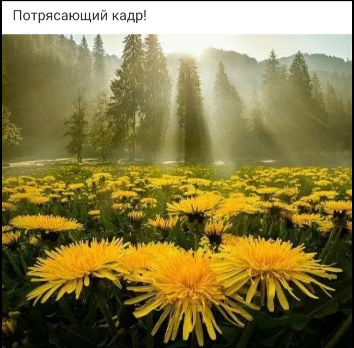 Потрясающий кадр