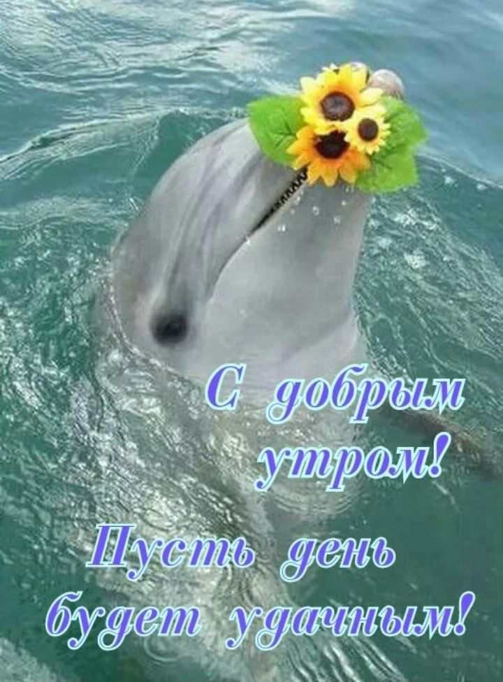 00р д.н чу ро ю