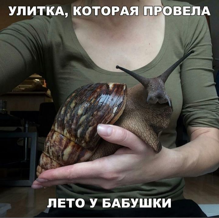 лвто У БАБУШКИ