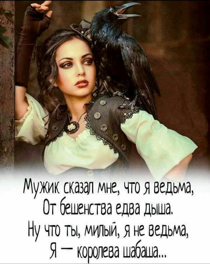 А Мужик сказал мне чтоя ведьма От бешенства едва дыша Ну что ты МИЛЫИ Я не ведьма Я _ королева шабаша