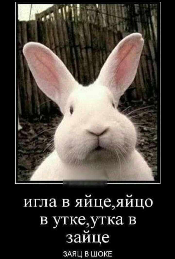 игла в яйцеяйцо в уткеутка в зайце мм в шоке