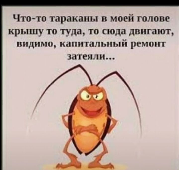 ЧТОТО тараканы В МОЕЙ ГОДОВ КРЬППЦУ ТО туда ТО сюда двигают видимо капитальный ремонт затеяли