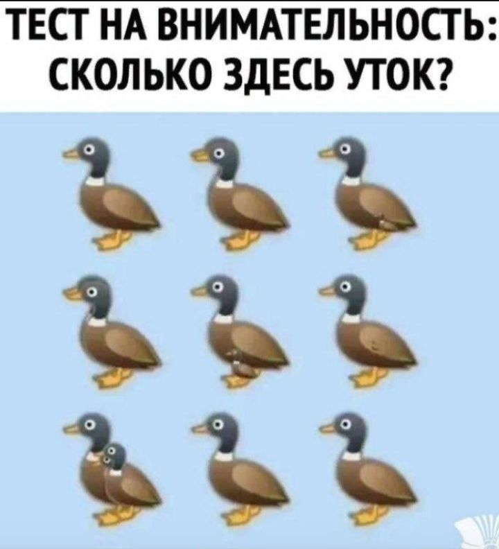 ТЕСТ НА ВНИМАТЕЛЬНОСТ Ь СКОЛЬКО ЗДЕСЬ УТОК 333 33 33