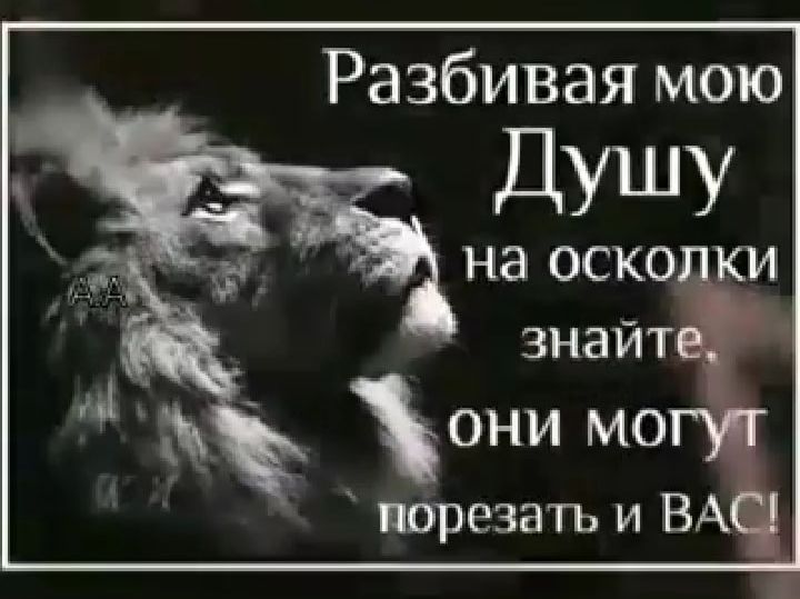 Ра вбивая мою ДУШУ НЭ ОСКОПЁИ знайтщ ни мот порезать и ВМД