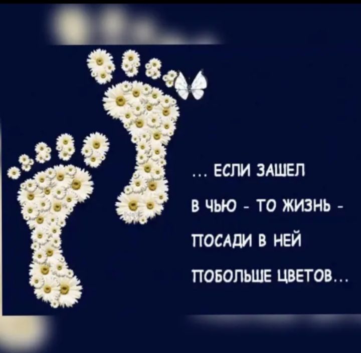 _пс ЕСЛИ ЗАШЕЛ В ЧЬЮ ТО ЖИЗНЬ ПОСАдИ В НЕЙ ПОБОПЬШЕ ЦВЕТОВ