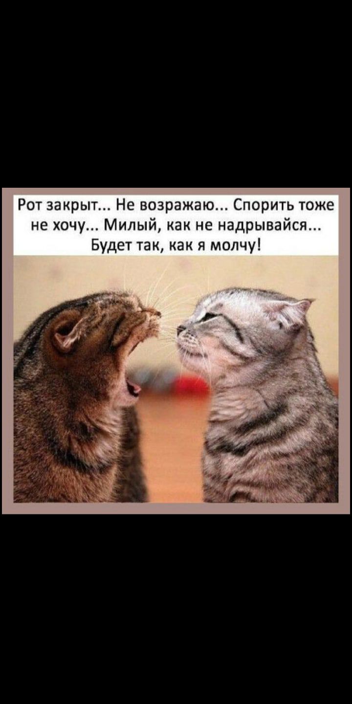 Рот закрыт Не возражаю Спорить тоже не хочу Милый как не надрывай Будет так как я молчу