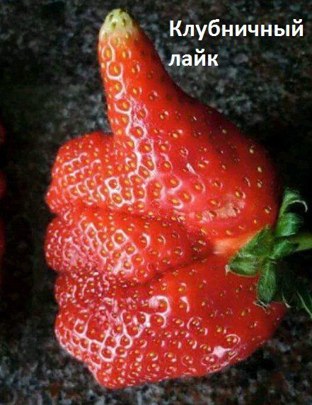 чный убни Кл