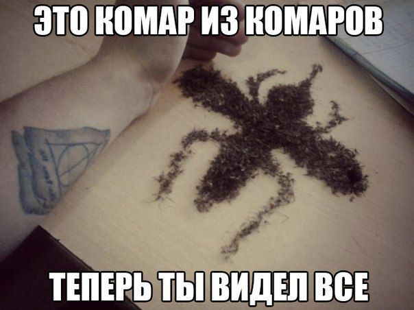 ЭТВ НВМАР ИЗ НВМАРПВ ТЕПЕРЬ ТЫ ВИДЕЛ ВБЕ