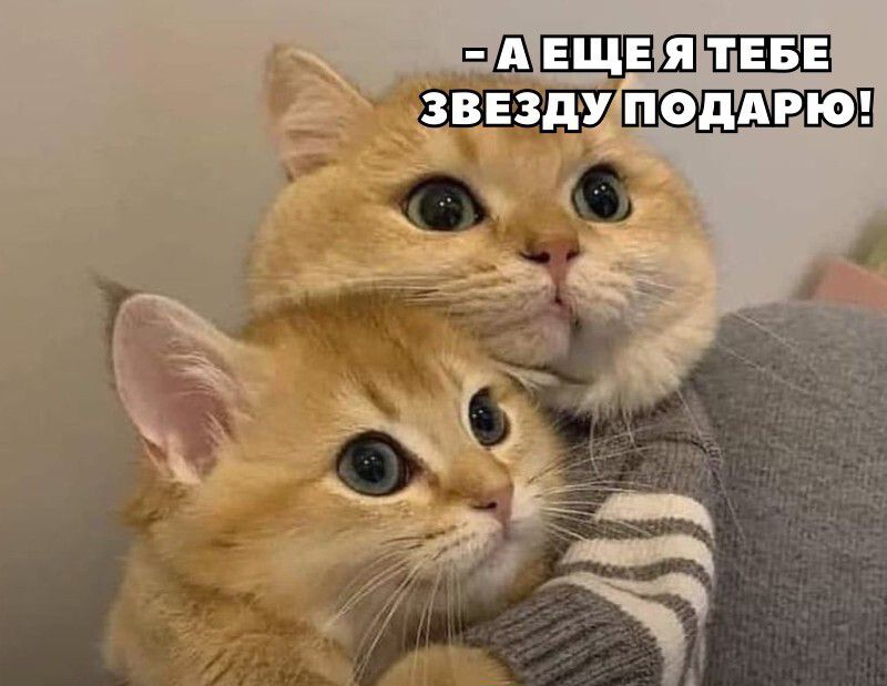 чдхвщзштшзш