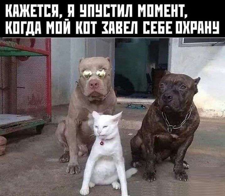 КПЖЕТЕП_П ЧПНЕТИЛ МПМЕНТ ШГдП МПИ ШТ ПВЕЛ ЕЕЕЕ ПХРПНН