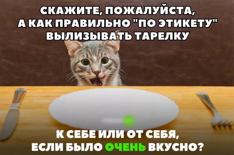 скджитв пождпуйстд А или прдвильно по этикету вьшизьщАЧгь тдрвлку 1 К СЕБЕ ИЛ СТ СЕБЯ ЕСЛИ БЫЛО ВКУСНО