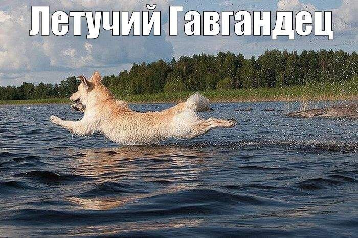 гавд и