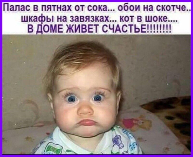 Палас в пятнах от сока обои на скотче шка ы на завязках кот в шоке В _ОМЕ ЖИВЕТ СЧАСТЬЕ