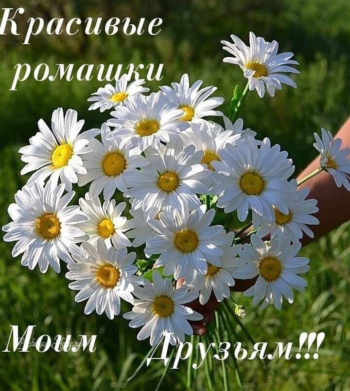 Красивые ди
