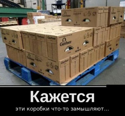 ЭТИ коробки ЧТО ТО замышляют