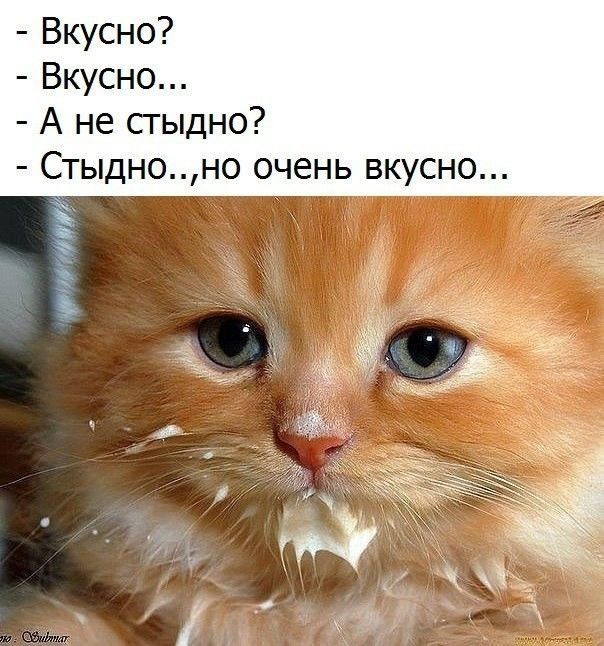 Вкусно Вкусно А не сгыдно Стыдноно очень вкусно жж 5