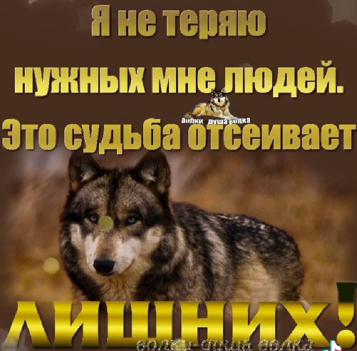 не темю нужных мнелюлей ЗавМДЁПаЁЁеивает