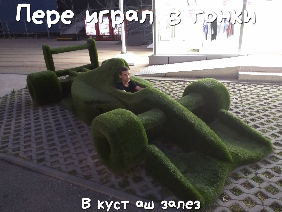 В куст аш залез