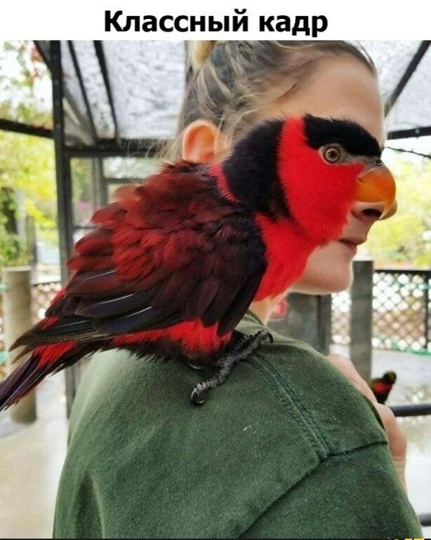 Классный кадр