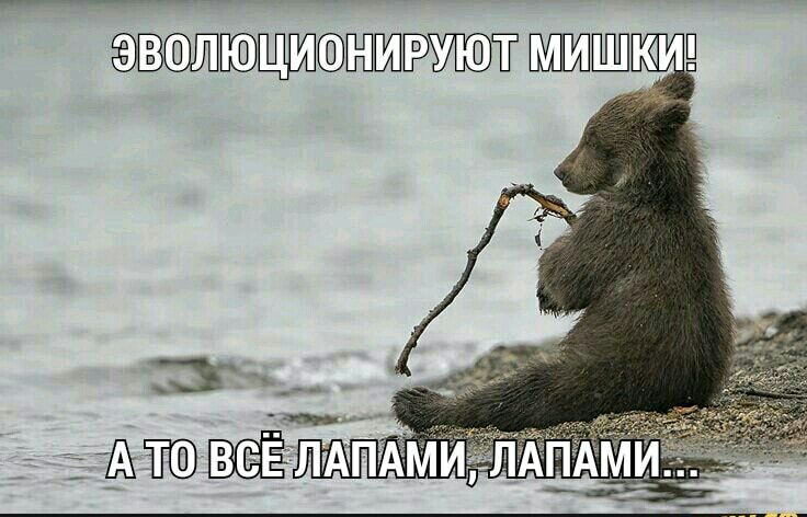 ВЕШПЁт КИП