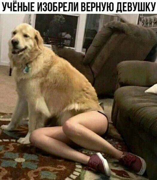 НУЮ дЕВУШКУ Я