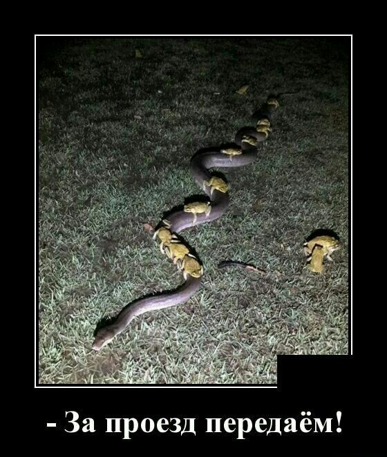 За проезд передаём