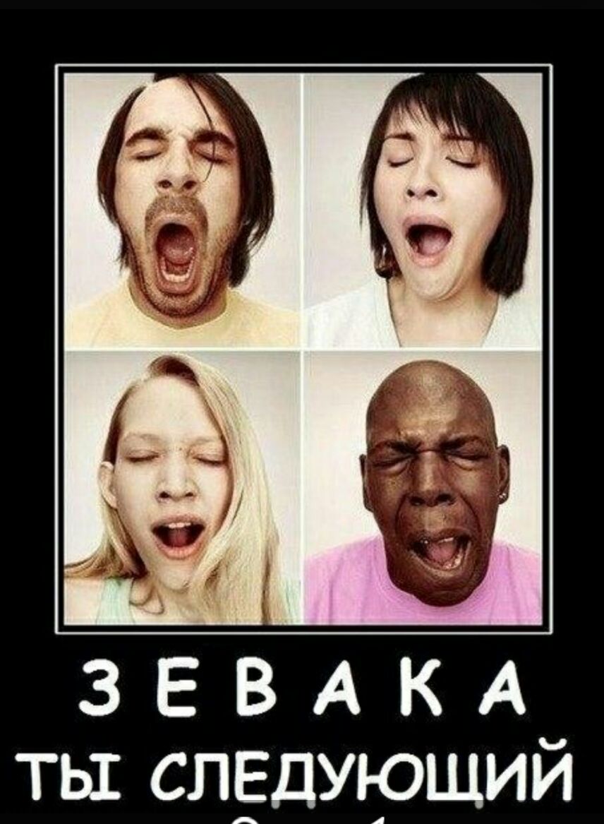 3 Е В А К А ть СЛЕДУЮЩИЙ