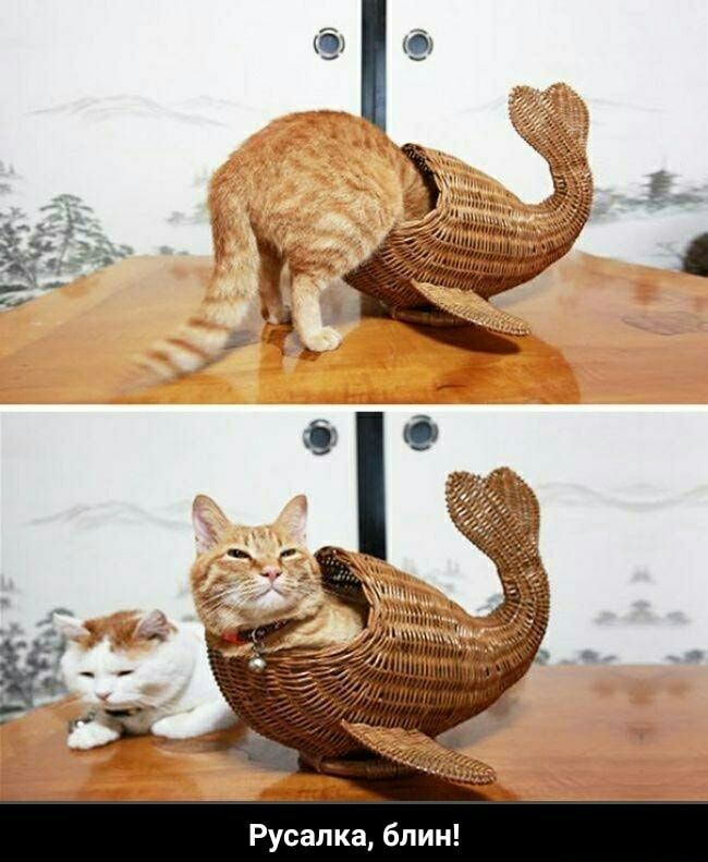 Русалка блин