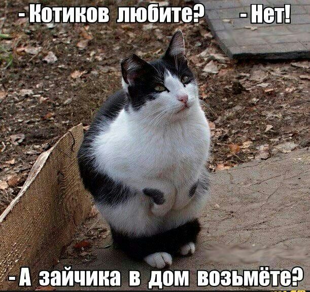 Гійтд о в а __ и а з д