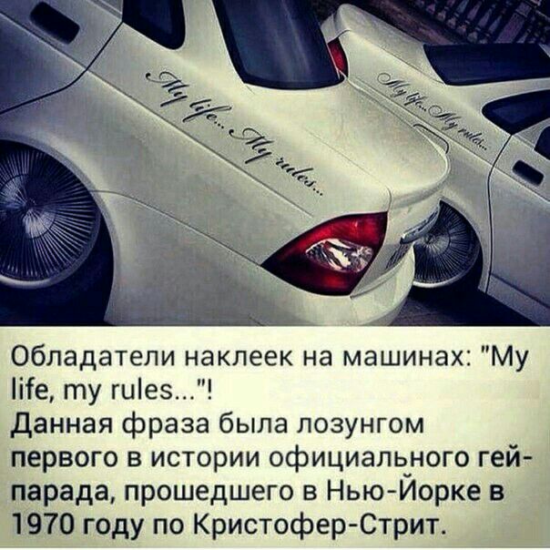 Обладатели наклеек на машинах Му те ту гие5 данная фраза была лозунгом первого в истории официаль_ного гей парада прошедшего в Нью Иорке в 1970 году по Кристофер Стрит