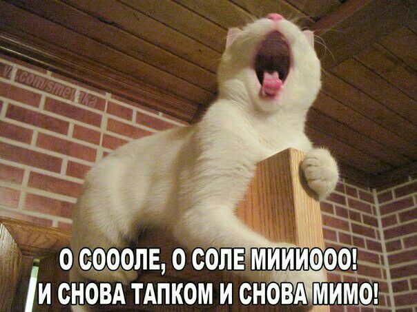 о опв о солвмиииаооь и сцовд ТАПКОМ и сновдщимт