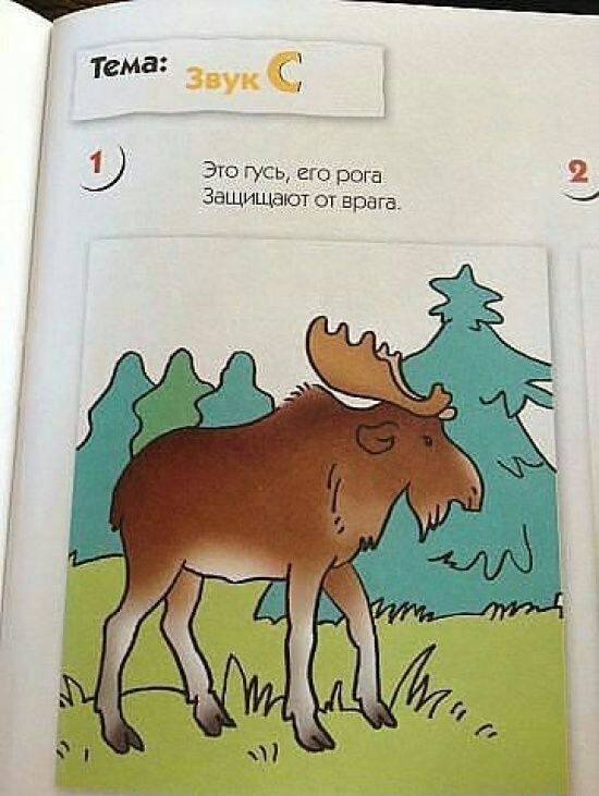Это гусь ею рог 1 защищают оу врага Ю