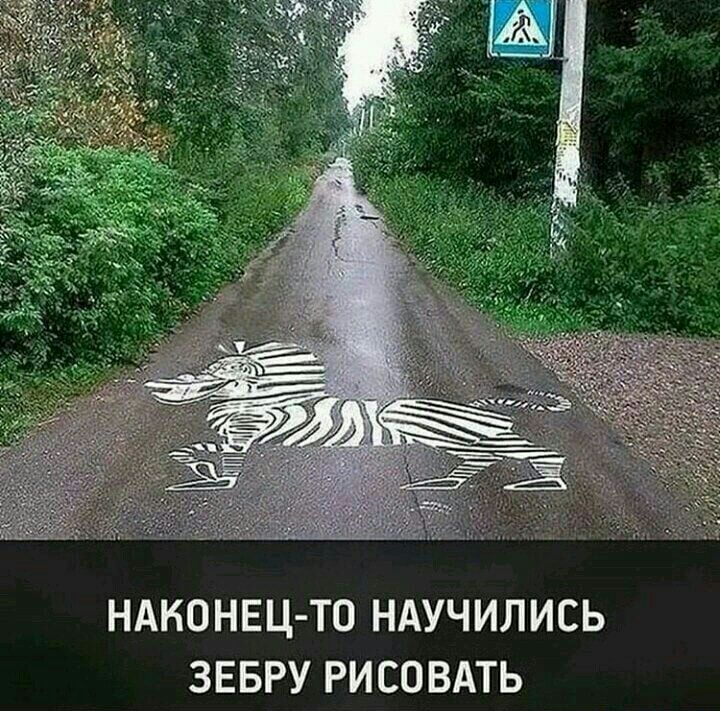 НАКОНЕЦ ТО НАУЧИЛИСЬ ЗЕБРУ РИСОВАТЬ