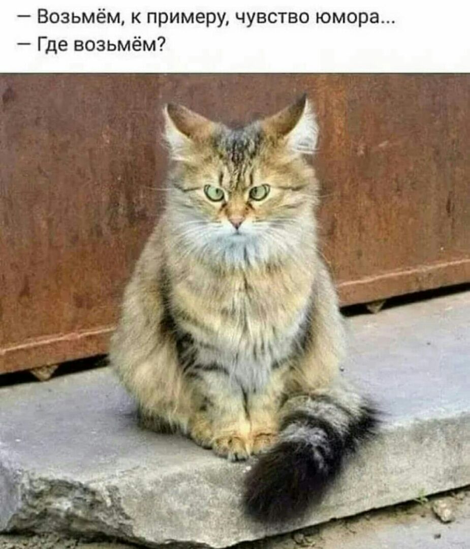 Возьмём к примеру чувство юмора Где возьмём