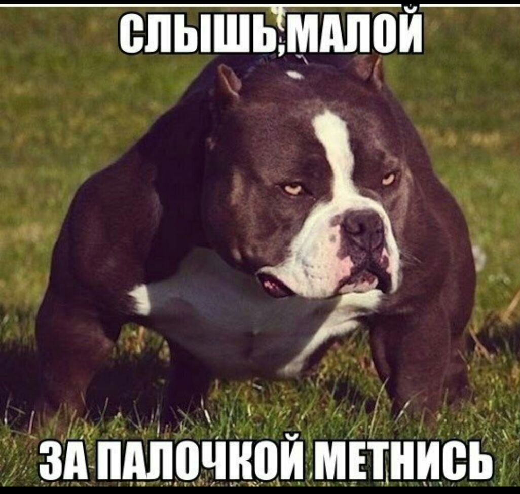 0 г _ і і 1 и _ мг _ Г М ЗППАППЧНПИМЕТНИВЬ пи х д 1 пц м