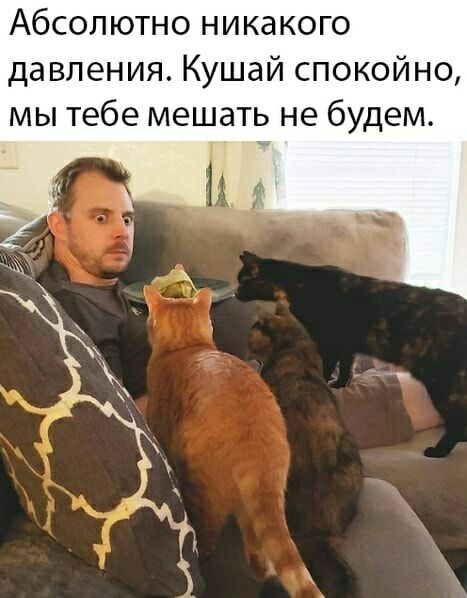 Абсолютно никакого давления Кушай спокойно мы тебе мешать не будем