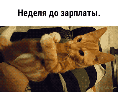 Неделя до зарплаты