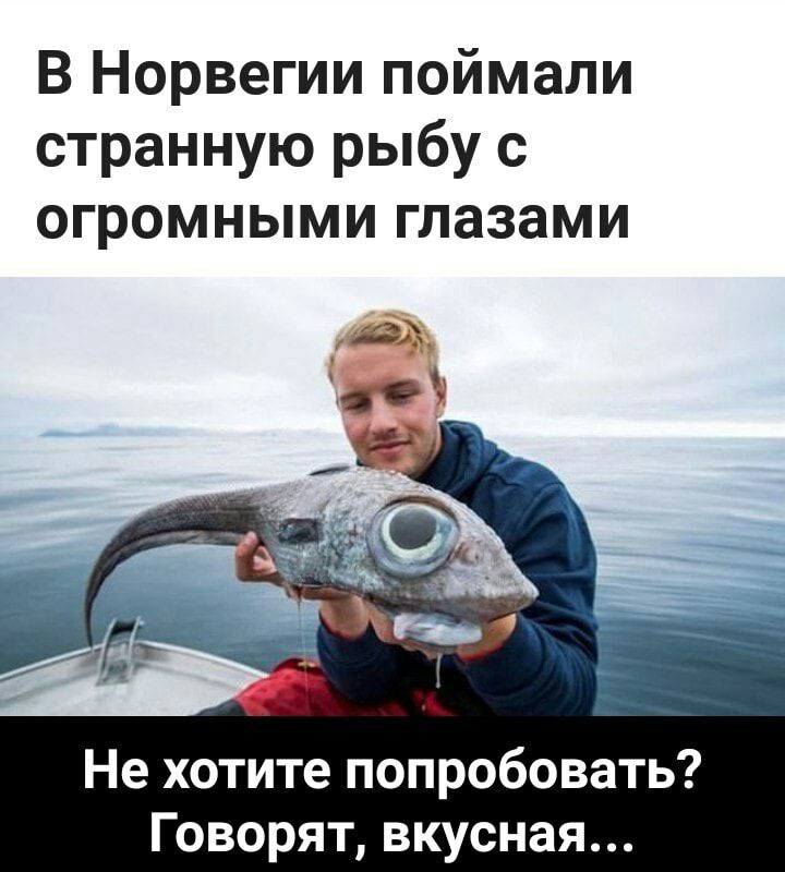 В Норвегии поймали странную рыбу с огромными глазами Не хотите попробовать Говорят вкусная
