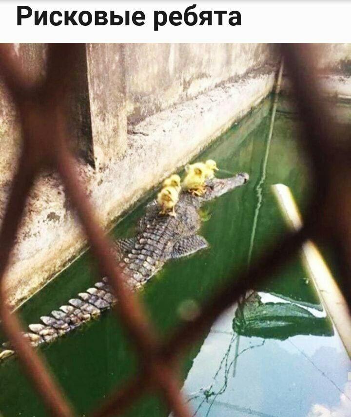 8 Т Я б е О Ю Ь в О К С И Р