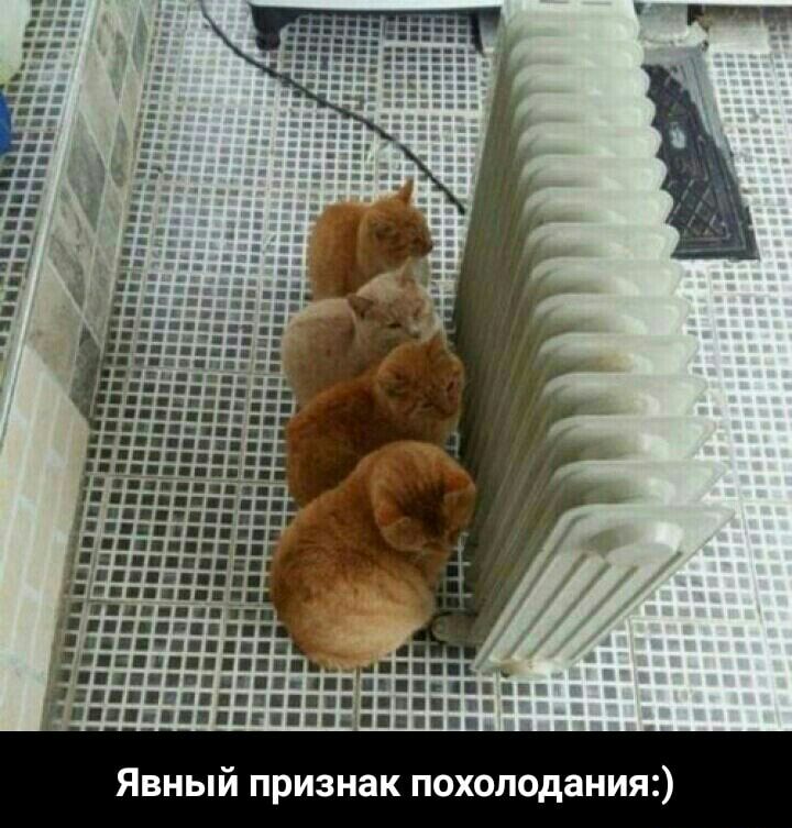 Явный признак похолодания