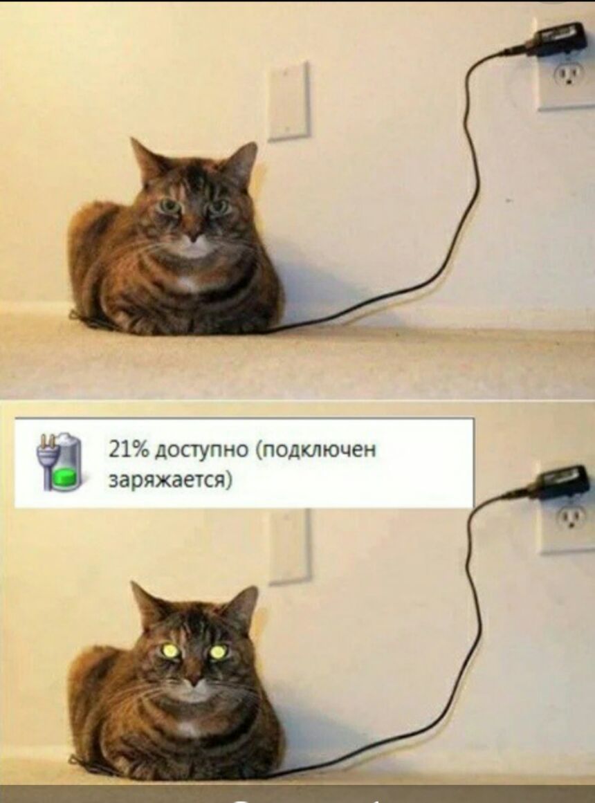 21 доступно подключен заряжается