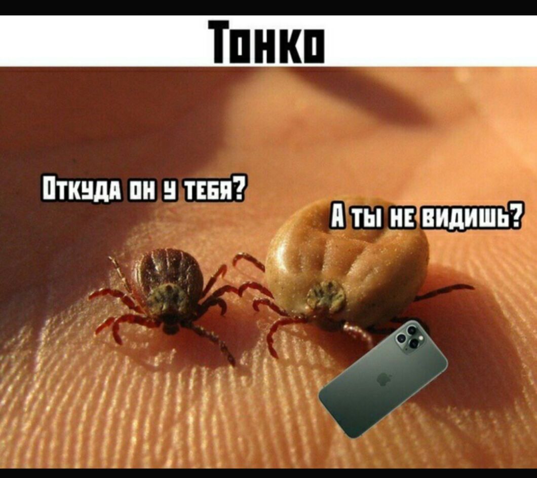 Пткндп пн в тени и ты и видишь и