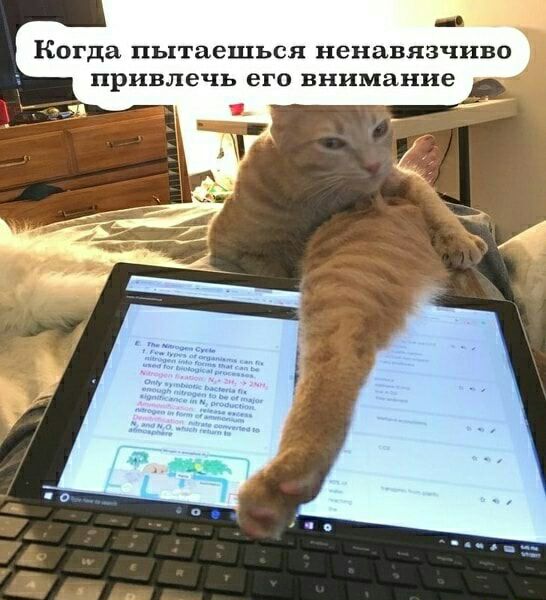 КОГДЗ пытаешься ненавязчиво привлечь ЕГО внимание