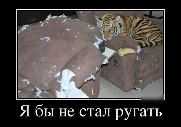 Я бы не стал ругать