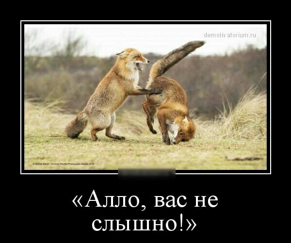 Алло вас не слышно