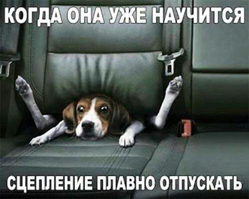 і За сцеплЕНиЪ піідвно отпускдть
