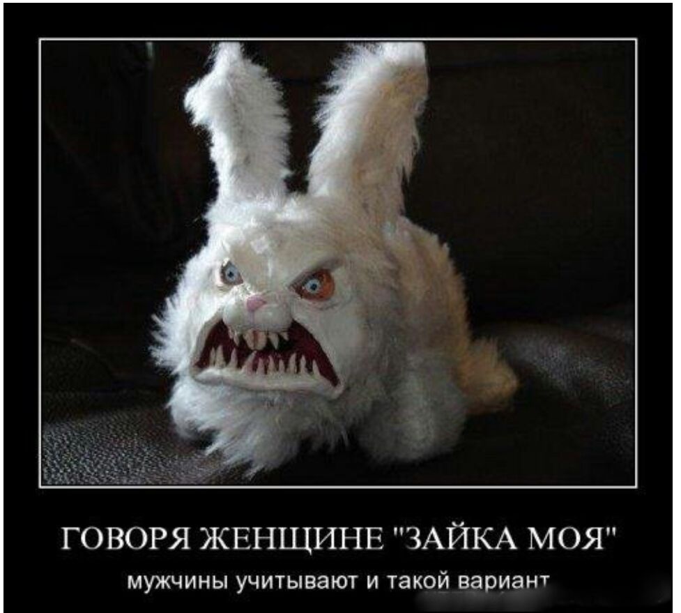 ГОВОРЯ ЖЕНЩИНЕ ЗАЙКА МОЯ МУЖЧИНЫ УЧИТЫВЗЮТ И такой вариант